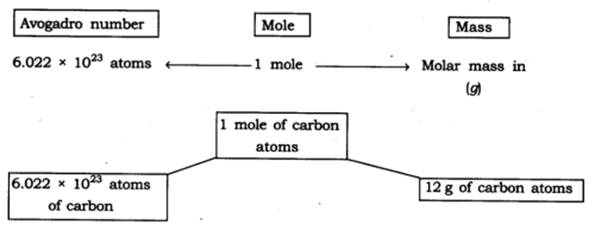 case study questions based on atoms and molecules class 9